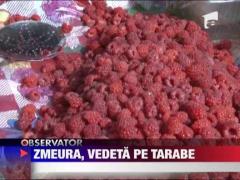 Observator de weekend