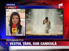 Vestul Romaniei, sub cod galben de canicula