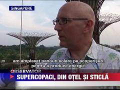 "Supercopaci" din otel si sticla