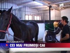 Observator 16 Weekend