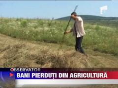 Bani pierduti din agricultura