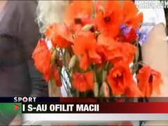 Xavi, asteptat cu un buchet de maci