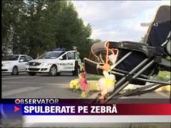 Surori spulberate pe zebra