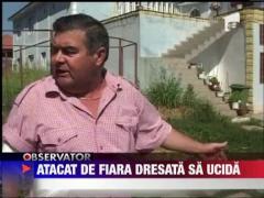 Un barbat din Constanta a fost sfasiat de un rottweiller