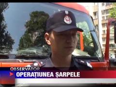 Un sarpe a creat panica intr-un bloc din Resita