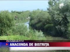 Un sarpe urias i-a incremenit pe localnicii din trei sate bistritene