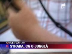 Observator 16 Weekend