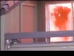 SUA: O pisica s-a salvat miraculos din calea unui incendiu