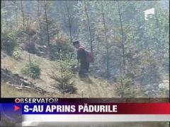 Incendiu forestier de proportii in Harghita