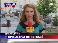 Gorj: Oase de rinocer preistoric, descoperite in Cariera Pesteana Sud