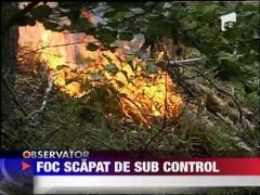 Incendiul de padure din Harghita continua sa se extinda