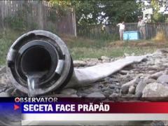 Seceta face prapad in mai multe zone din tara