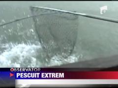 Captura unei tinere amatoare de pescuit, furata de un rechin