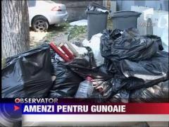 Amenzi usturatoare pentru comerciantii care au lasat gunoaiele pe litoral