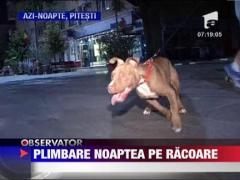 Aglomeratie mare la strandurile si piscinele din tara