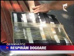 Sudul Romaniei fiebe sub cod portocaliu! 85 de oameni au ajuns la spital!