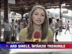 Canicula intarzie trenurile