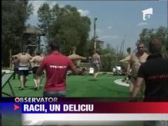 Racii sunt noua atractie in judetul Brasov!