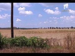 Statele Unite se confrunta cu cea mai grava seceta din ultimii 25 de ani