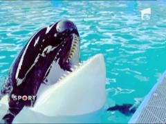 Shakira a fost surprinsa in timp ce se saruta pasional la Miami