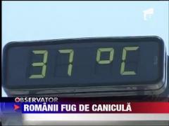 Canicula face noi victime