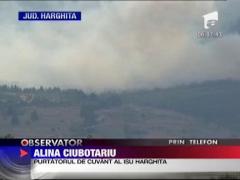 Incendiile continua sa faca ravagii in padurile din judetul Neamt