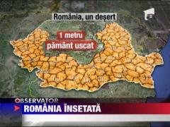 Pana la un metru adancime nu mai exista strop de apa din cauza secetei prelungite