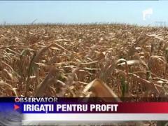 Irigatiile, singura sansa pentru agricultorii romani