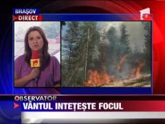 Incendiile din Muntii Bucegi si Fagaras au scapat de sub control