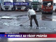 Urmarile furtunii din tara: zeci de copaci cazuti, sute de gradini inundate