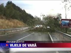 Vijelii de vara in vestul tarii