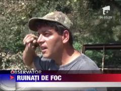 Vile mistuite de flacari la Comarnic