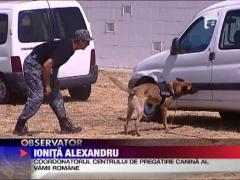 Opt caini de rasa, cei mai aprigi agenti vamali