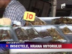 Insectele, hrana viitorului