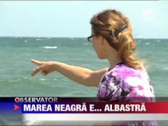 Marea Neagra a devenit albastra din cauza unei alge
