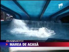 In Romania, parcurile acvatice se inmultesc mai ceva ca mall-urile