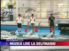 Observator 16 Weekend