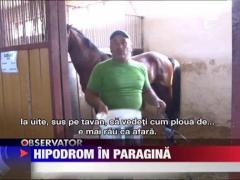 Ultimul hipodrom din Romania zace in paragina