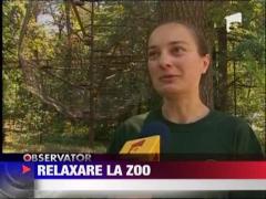 Relaxare la Zoo