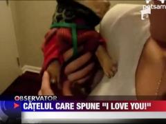 Un caine care spune "I Love You"!