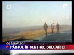 Incendiu de vegetatie in Bulgaria