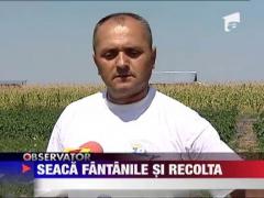 Seceta ii lasa fara apa in fantani pe agricultori