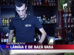 Lamaia, vedeta din meniurile de vara