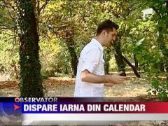 In mai putin de un secol in Romania nu va mai fi iarna