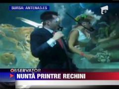 Nunta in acvariu