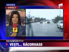 Temperaturile scad, vin vijeliile