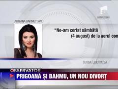 Adriana Bahmuteanu si Silviu Prigoana, un nou divort