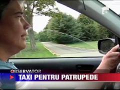 Companie de taxiuri destinata exclusiv pentru caini