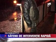 Sateni inarmati in cautarea unui bataus de vaduve