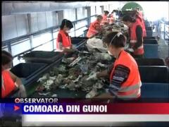 Profit din gunoaie reciclate